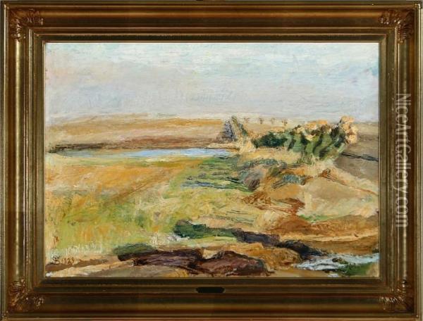 Field With A Small River, Near Kerteminde Oil Painting - Fritz Syberg