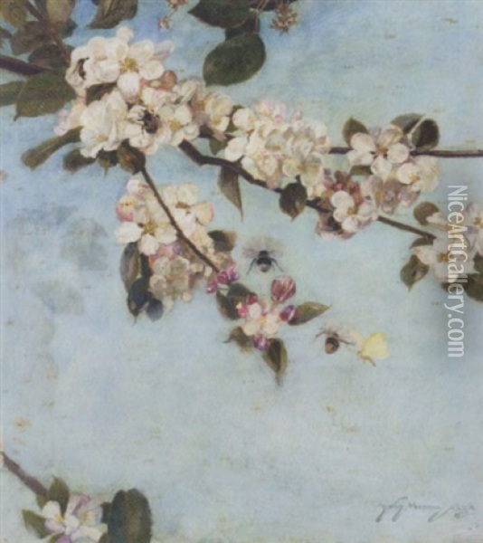 Apple Blossom Oil Painting - Sir David Murray