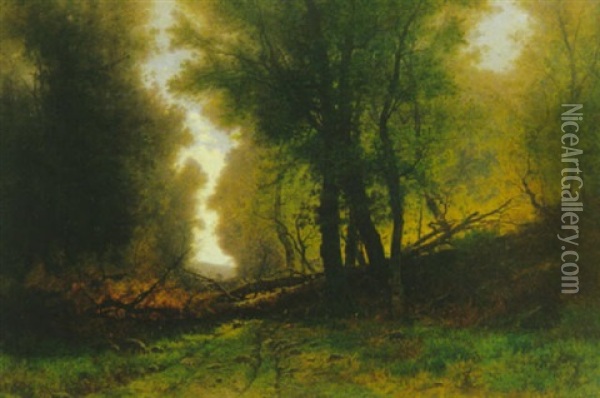 Waldweg Mit Umgesturzten Baumen Oil Painting - Gustave Eugene Castan