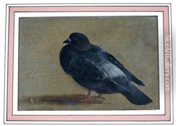 Deux Pigeons (study) Oil Painting - Henri De Beul