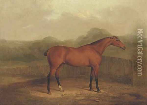 A chestnut racehorse in a landscape Oil Painting - James Barenger
