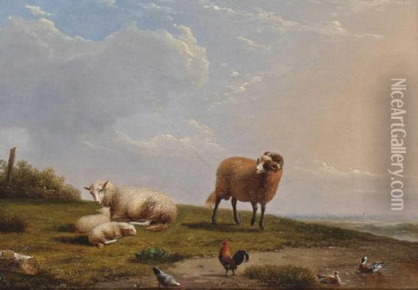 Schafe Und Huhner Auf Der Wiese Am Wasser Oil Painting - Franz van Severdonck