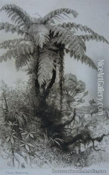 Tree Ferns Oil Painting - Trevor Lloyd