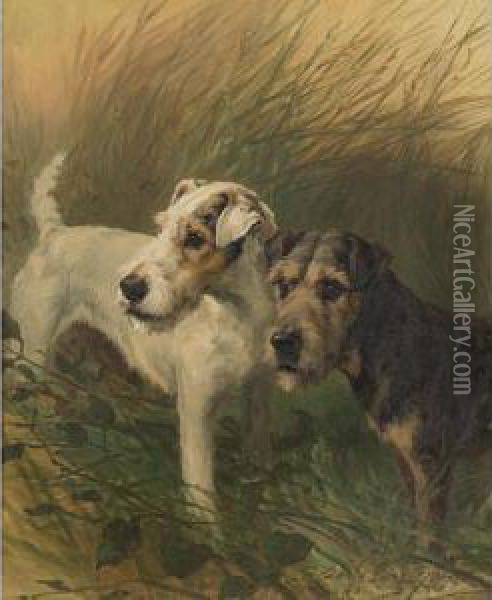 Two Sealyham Dogs Oil Painting - Maud Earl