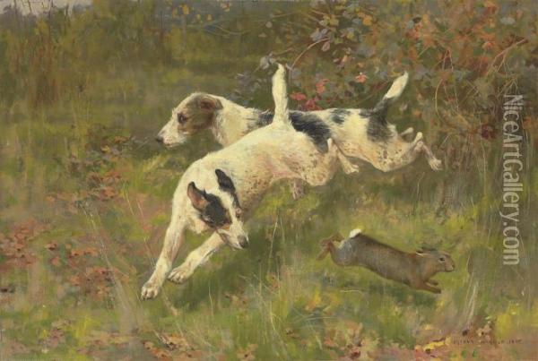 Terriers Chasing A Rabbit Oil Painting - Arthur Wardle