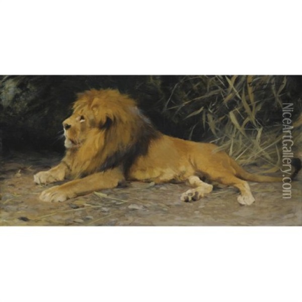 Lowe Im Versteck - Lion In His Den Oil Painting - Wilhelm Friedrich Kuhnert
