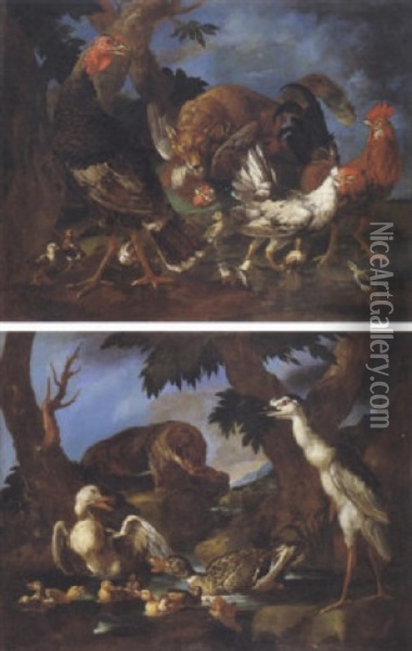 Uccelli Ed Animali In Un Paesaggio Oil Painting - Giorgio (Count) Durante