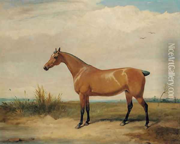 A bay hunter in an open landscape Oil Painting - Thomas Woodward