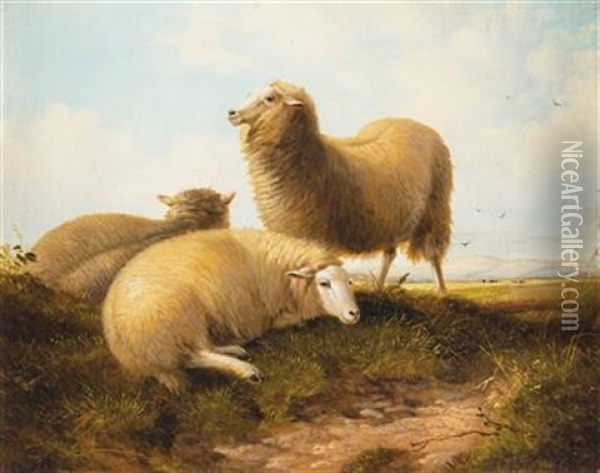 Ruhende Schafe In Weidelandschaft Oil Painting - Thomas Sidney Cooper
