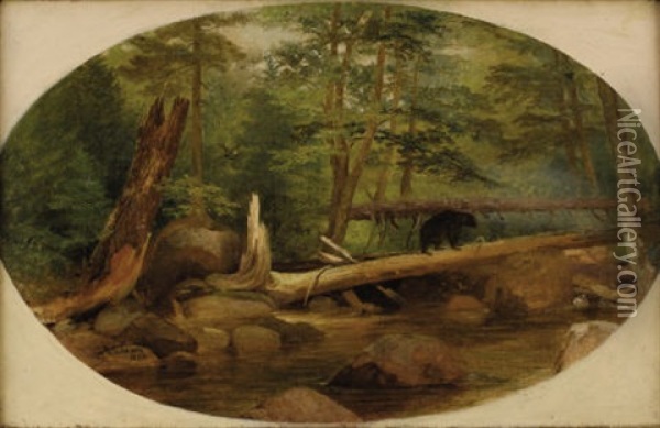 Bear In The Forest Oil Painting - William Holbrook Beard