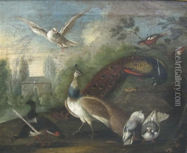 A Peacock And Wildfowl In A Parkland Setting Oil Painting - Marmaduke Cradock