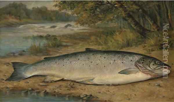The catch of the day Oil Painting - Thomas G. Targett