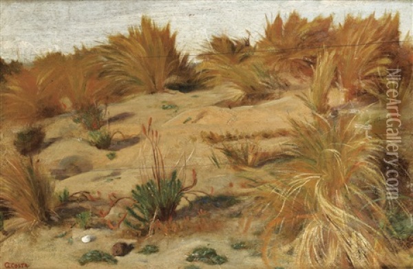 Paysage De Dune Oil Painting - Giovanni Costa