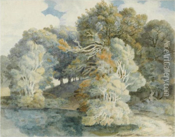Trees By The Lake, Peamore Park, Near Exeter Oil Painting - Francis Towne