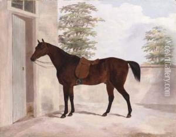 A Bay Hunter Outside A Stable Oil Painting - Thomas W. Bretland