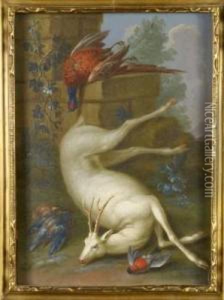 Nature Morte Au Chevreuil Albinos Oil Painting - Johann Georg Hamilton