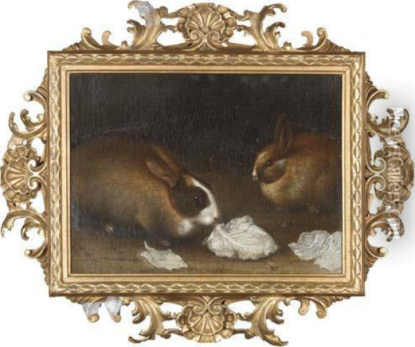 Two Rabbits With Lettuce Leaves Oil Painting - Giovanni Agostino Cassana