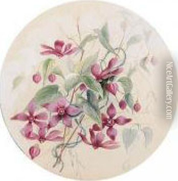 A Folio Of Watercolours Of Australian Flowers Oil Painting - Marian Ellis Rowan