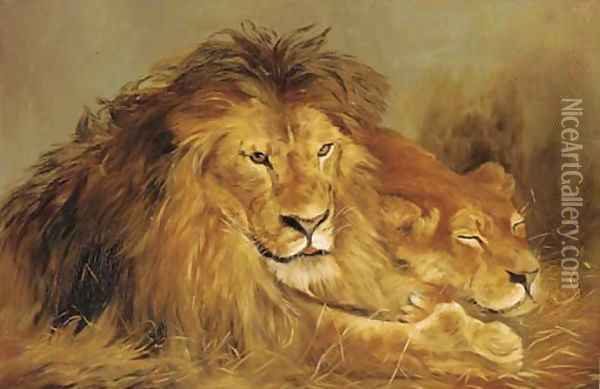 A lion and lioness lying in the grass Oil Painting - English School