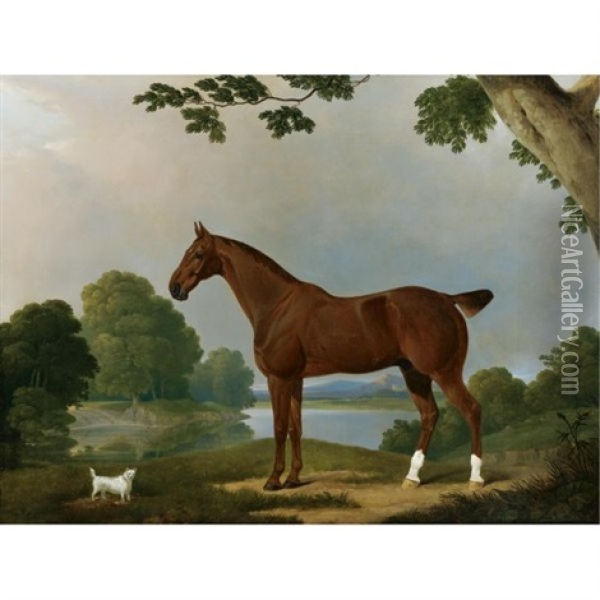 Aconbury, A Hunter, And Coaxer, A Terrier, In A Landscape Oil Painting - James Barenger the Younger