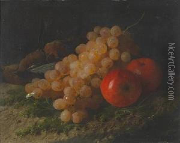 A Still Life With Apples, Grapes And Birds Oil Painting - David Emil Joseph de Noter