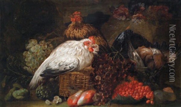 Ein Stillleben Mit Huhnern, Weintrauben, Birnen Und Erdbeeren Oil Painting - David de Coninck