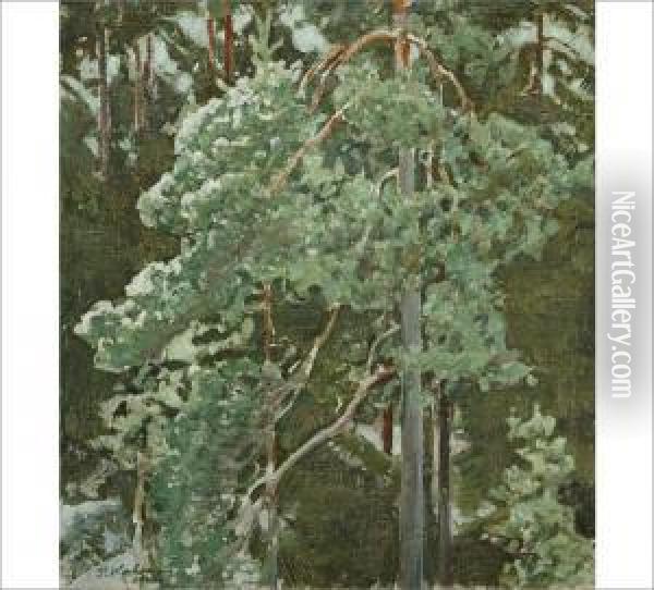 Forest Landscape Oil Painting - Pekka Halonen