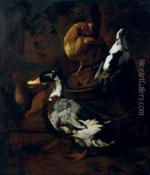 Poultry And Fowl In A Barn; And A Duck And Other Fowl In A Yard Oil Painting - Jacomo (or Victor, Jacobus) Victors