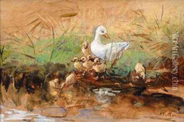A Family Of Ducks By The Water's Edge Oil Painting - Willem Maris