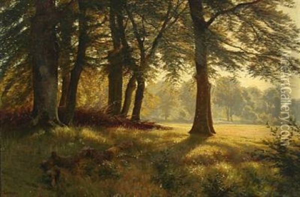 Sunny Forest Scape Oil Painting - Ludvig Kabell