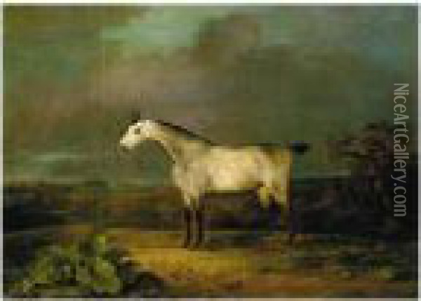 A Grey Hunter In An Extensive Landscape Oil Painting - Sawrey Gilpin