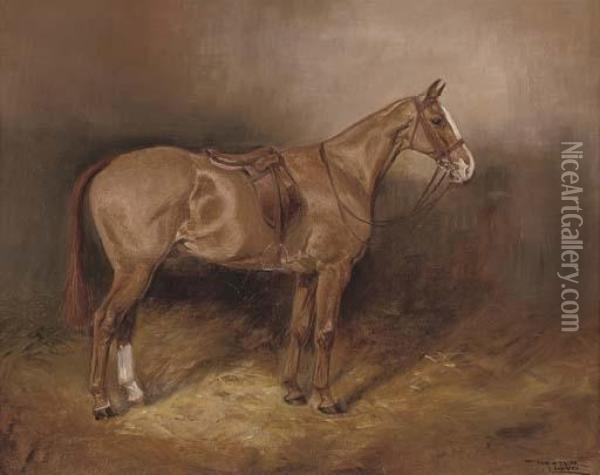 A Bay Hunter In A Stable; And A Saddled Chestnut Hunter In A Stable Oil Painting - Thomas Ivester Lloyd