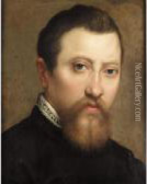 A Portrait Of A Bearded 
Gentleman, Head And Shoulders, Wearing Black With A White Lace Collar Oil Painting - Annibale Carracci
