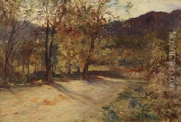 Autumn Pass Of Leny, Callander Oil Painting - George Paul Chalmers