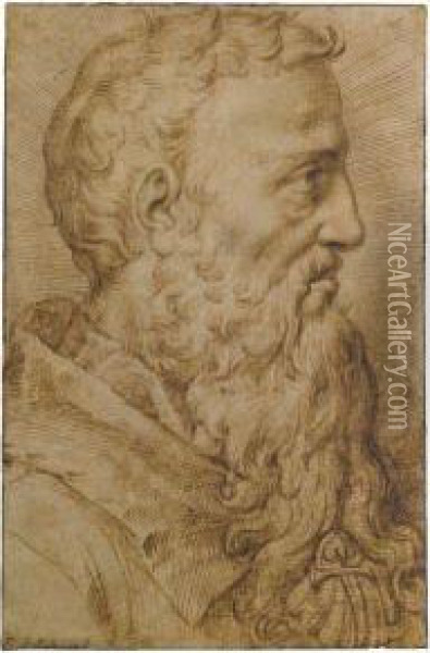 Portrait Of Baccio Bandinelli, In Profile To The Right Oil Painting - Bartolomeo Passarotti