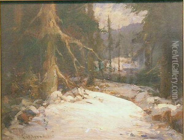 A Forest Veteran Oil Painting - Frank W. Loven