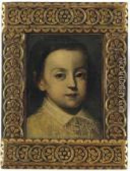 Portrait Of A Young Boy, With A Lace Collar Oil Painting - Sofonisba Anguissola