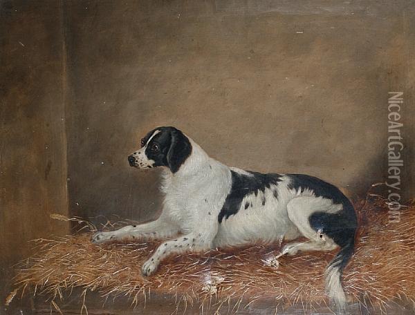 A Spaniel On A Straw Bed Oil Painting - W.J. Gilbert