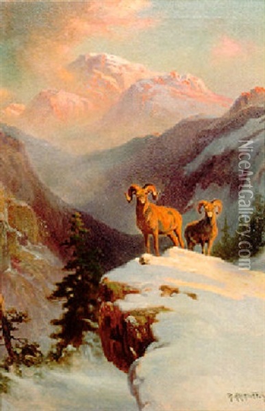 Bighorn Rams Oil Painting - Robert Atkinson Fox