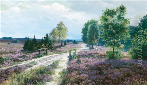 Open Heathland In Blossom Oil Painting - Johannes Harders