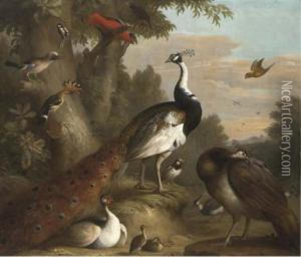 A Wooded Landscape With Peacocks And Other Birds In Theforeground Oil Painting - Jakob Bogdani Eperjes C