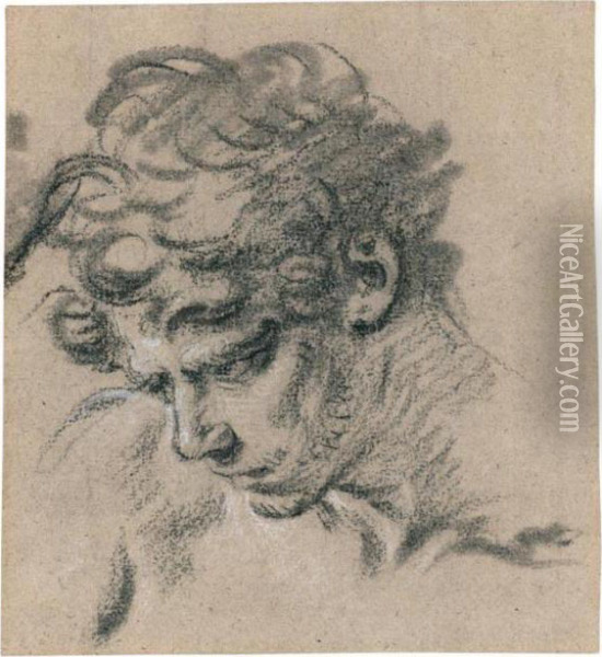 Head Of A Young Man, Looking Down To The Left Oil Painting - Francois Boucher