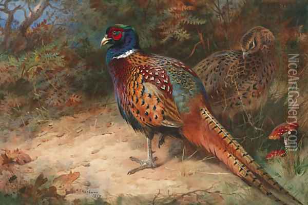 A Cock and Hen Pheasant Oil Painting - Archibald Thorburn