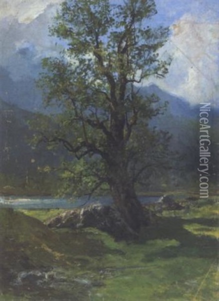 Landschaft Mit Grosem Laubbaum Oil Painting - Julius von Blaas