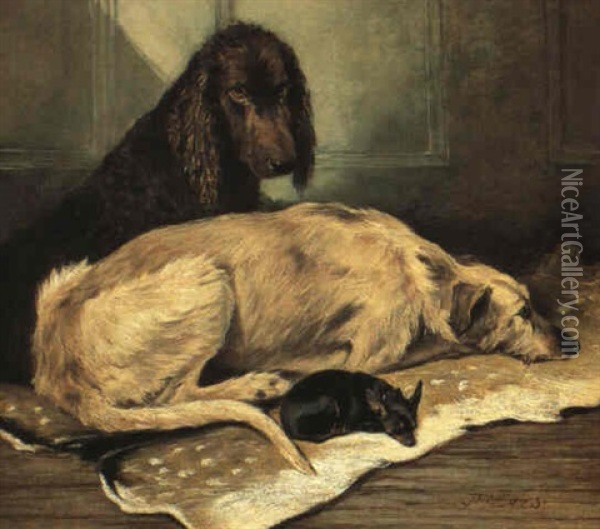 An Irish Water Spaniel, A Scottish Deerhound And An English Toy Terrier... Oil Painting - John Emms