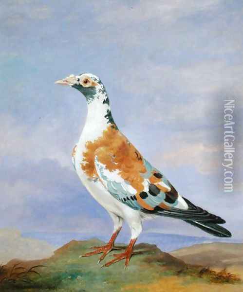Grizzle Carrier Pigeon Oil Painting - Dean Wolstenholme, Jr