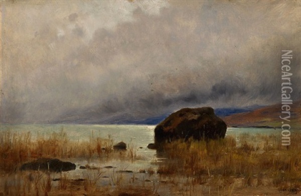 Uferpartie Am Neuenburgersee Oil Painting - Gustave Eugene Castan