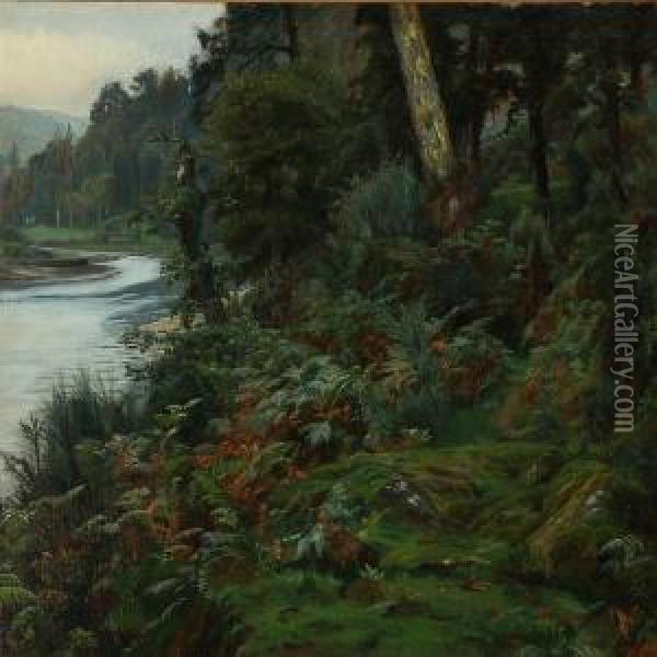 Forest Scene From Concarneau In Brittany Oil Painting - Christian Zacho