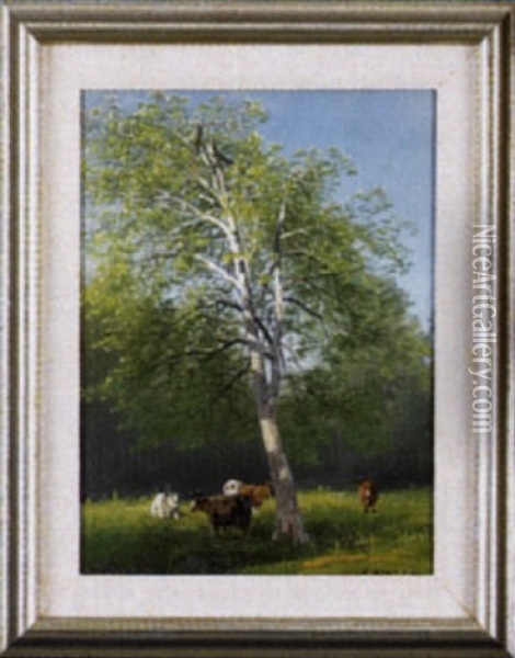 Pastoral Landscape With Cows Grazing Beneath A Birch Tree Oil Painting - Hermann Herzog