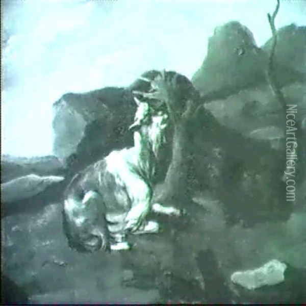 Zwei Ziegen In Felsiger Berglandschaft Oil Painting - Johann Melchior Roos